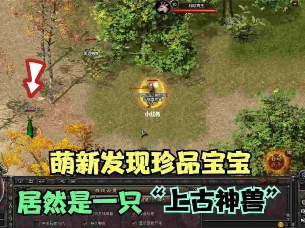 原始传奇手游直播新区攻略,原始传奇手游直播新区攻略